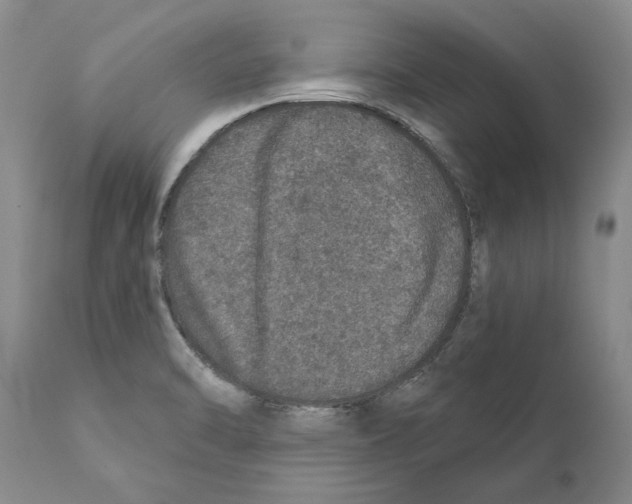 X0000110761470200907131158