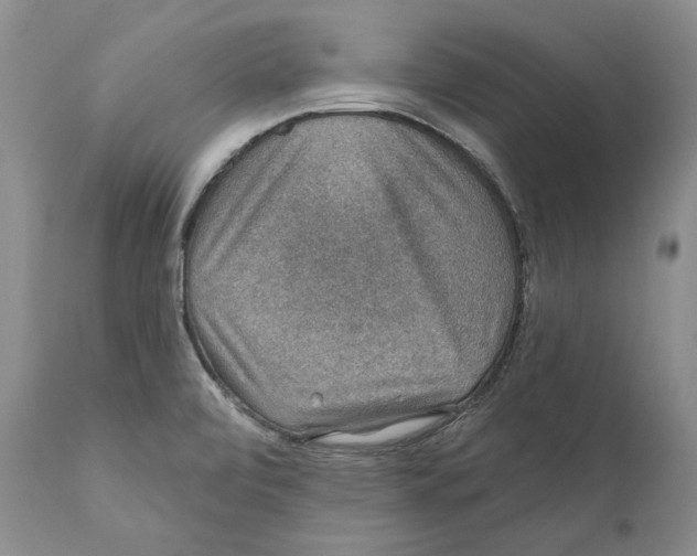X0000110761472200907131158