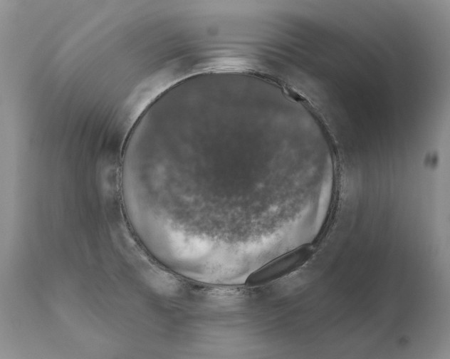 X0000110761473200907131158