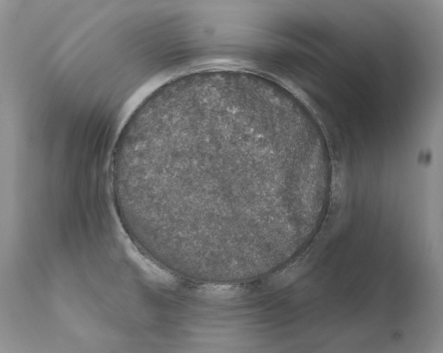 X0000110761474200907131158