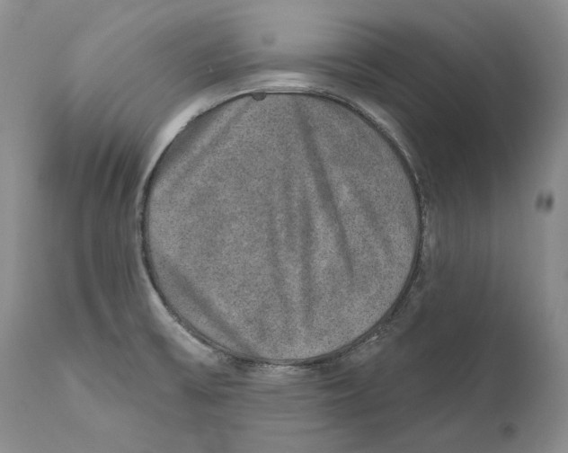 X0000110761475200907131158