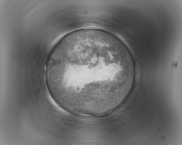 X0000110761476200907131158