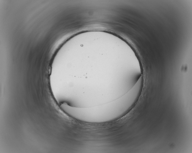 X0000110761477200907131158