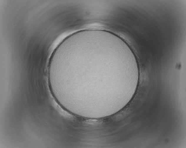 X0000110761478200907131158
