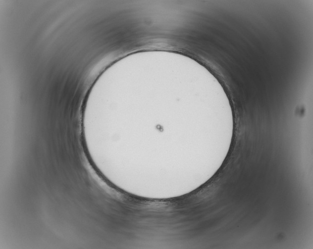 X0000110761479200907131158
