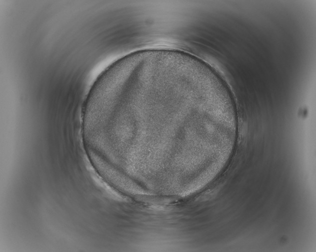 X0000110761480200907131158