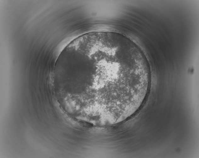 X0000110761481200907131158