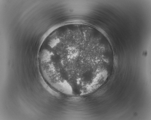 X0000110761482200907131158