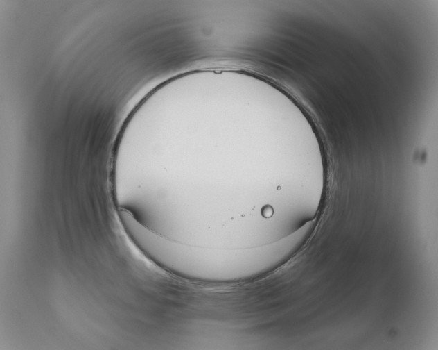 X0000110761484200907131157