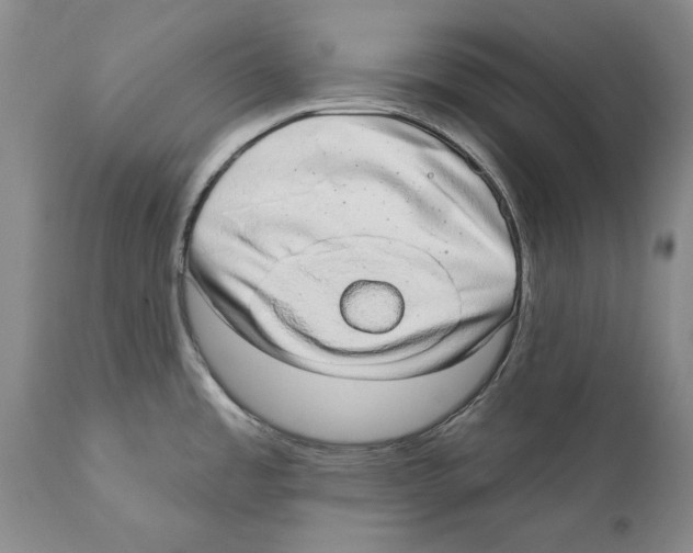 X0000110761485200907131157