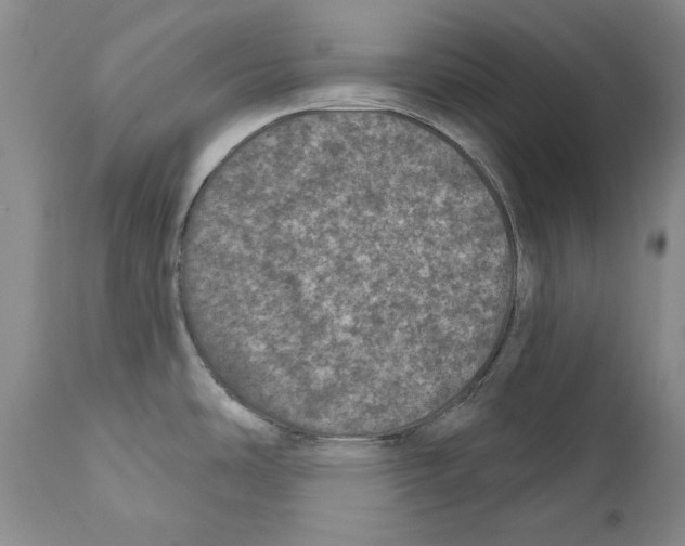 X0000110761486200907131157