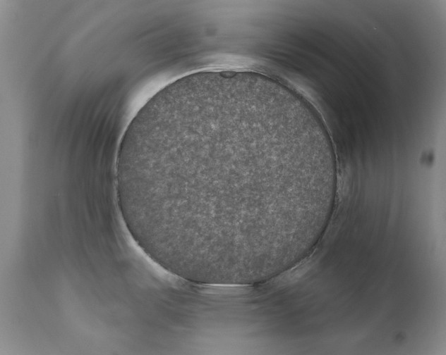 X0000110761487200907131157
