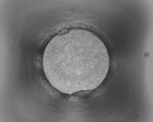 X0000110761490200907131156