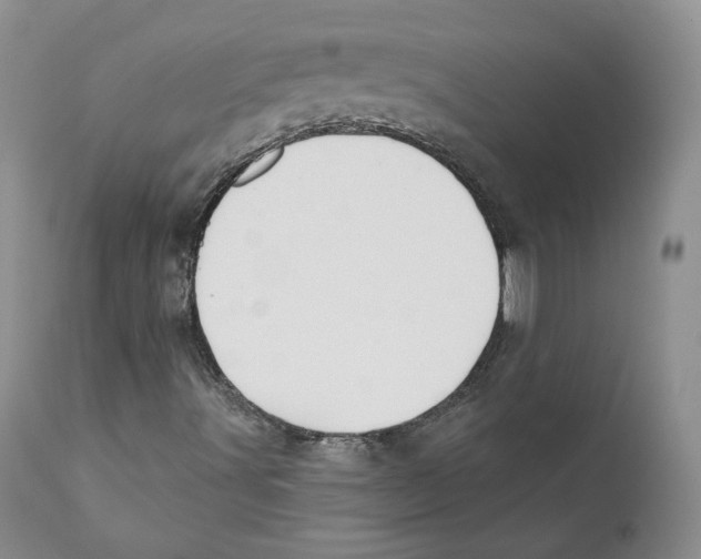 X0000110761491200907131156