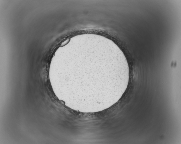 X0000110761493200907131156