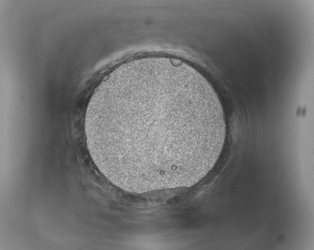 X0000110761494200907131156