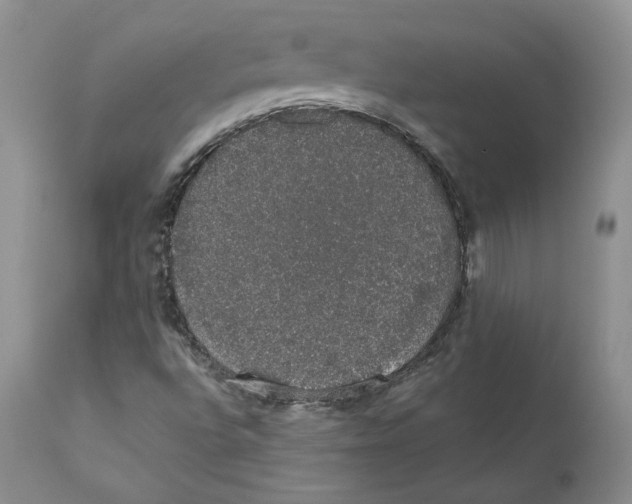 X0000110761496200907131157