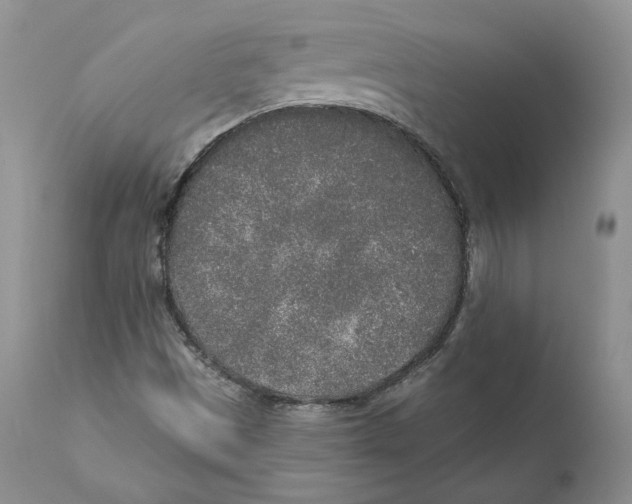 X0000110761497200907131157