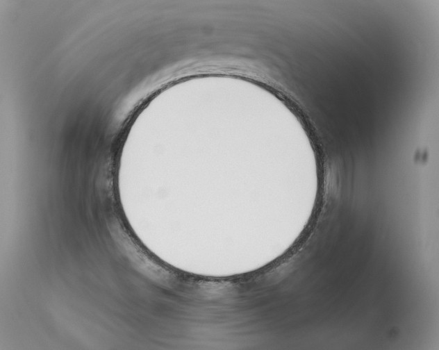 X0000110761498200907131157