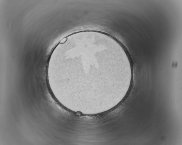 X0000110761500200907131157