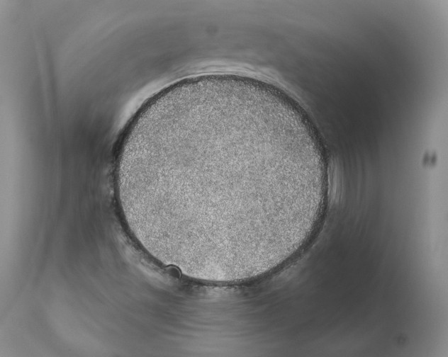 X0000110761501200907131157