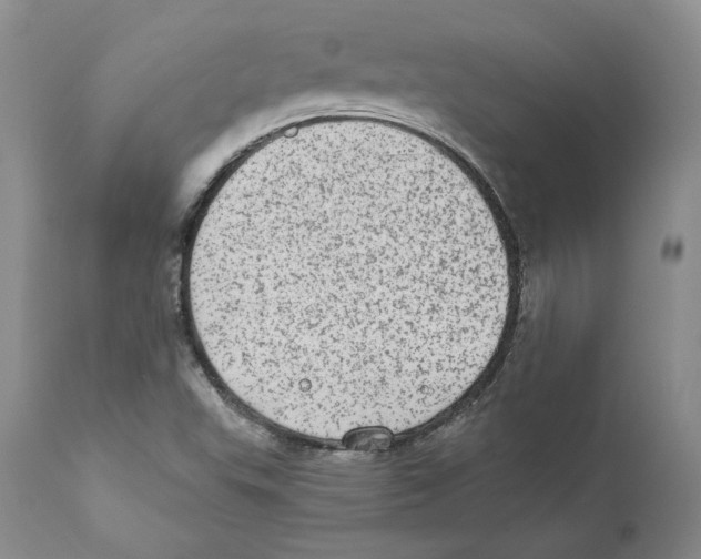X0000110761503200907131157