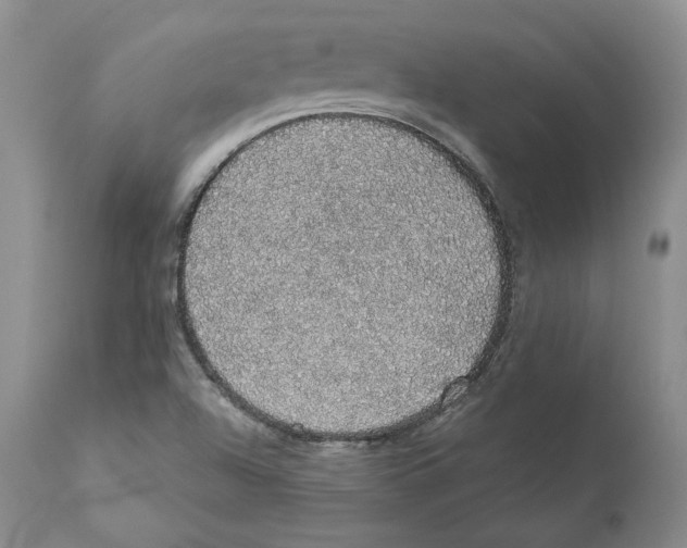 X0000110761504200907131157
