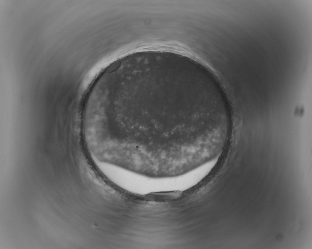 X0000110761506200907131157