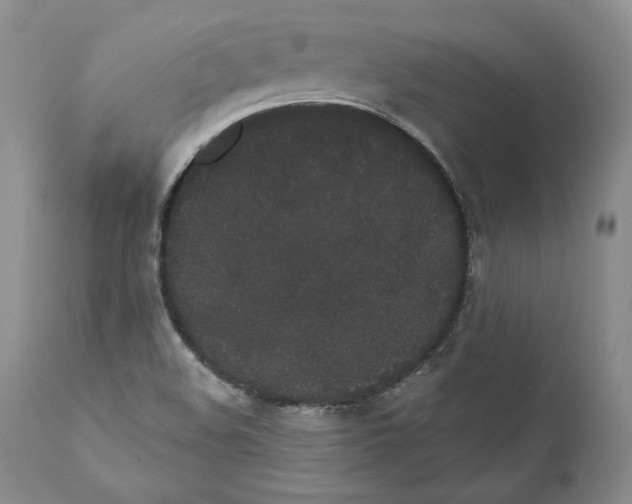 X0000110761508200907131157