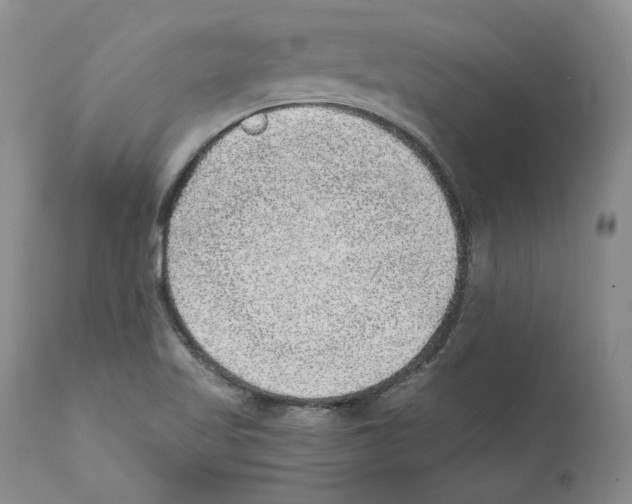 X0000110761509200907131157