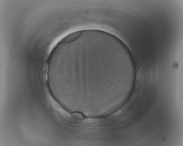 X0000110761510200907131157