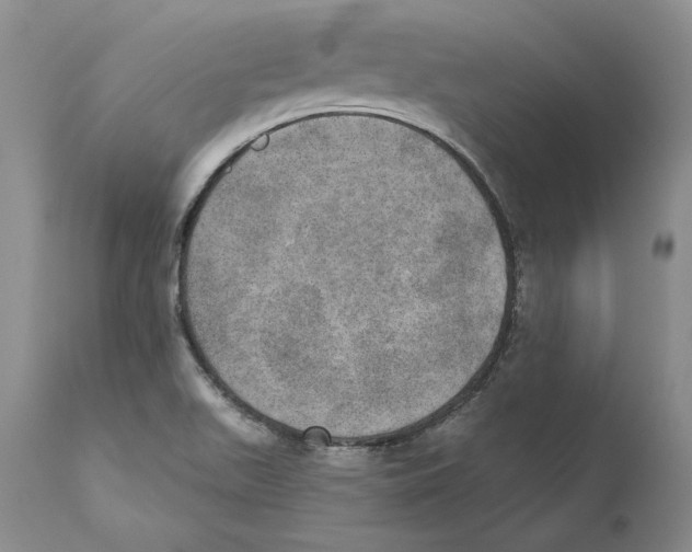 X0000110761511200907131157