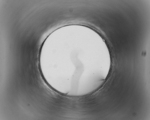 X0000110761512200907131157