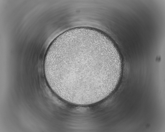 X0000110761513200907131157