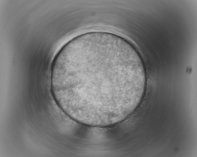 X0000110761514200907131157