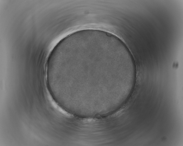 X0000110761515200907131157