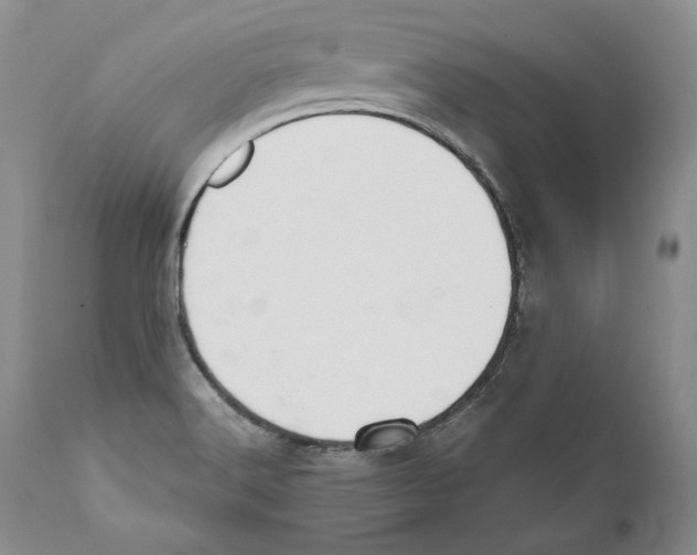 X0000110761516200907131157