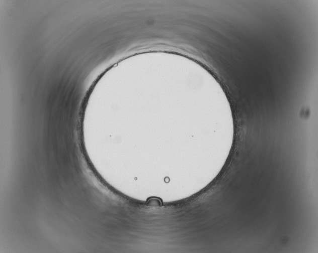 X0000110761518200907131157