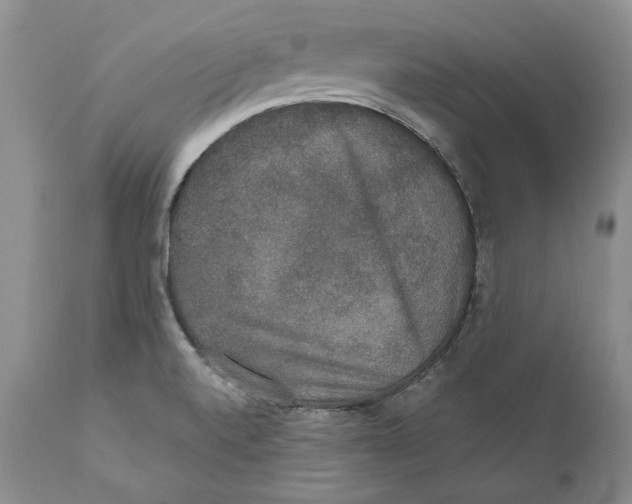 X0000110761520200907131157