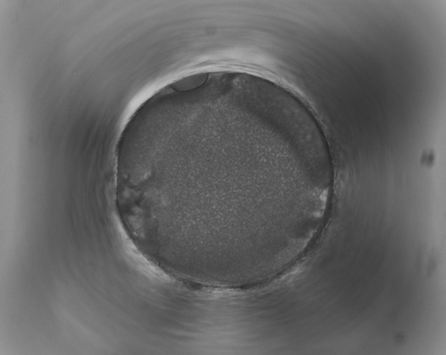 X0000110761522200907131157