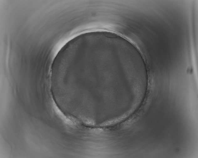 X0000110761524200907131157