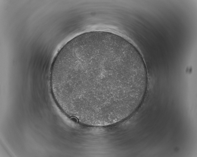 X0000110761525200907131157