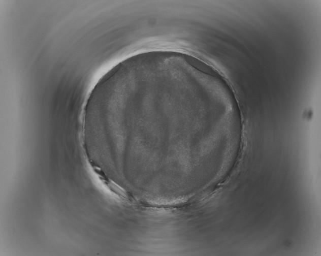 X0000110761528200907131157