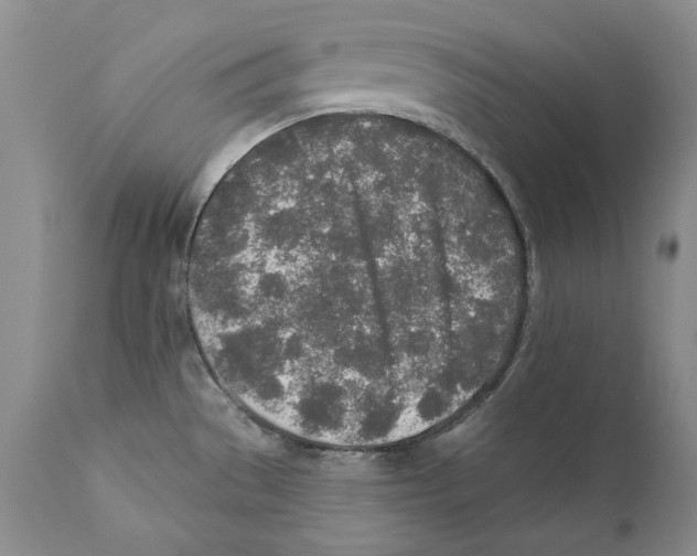 X0000110761529200907131157