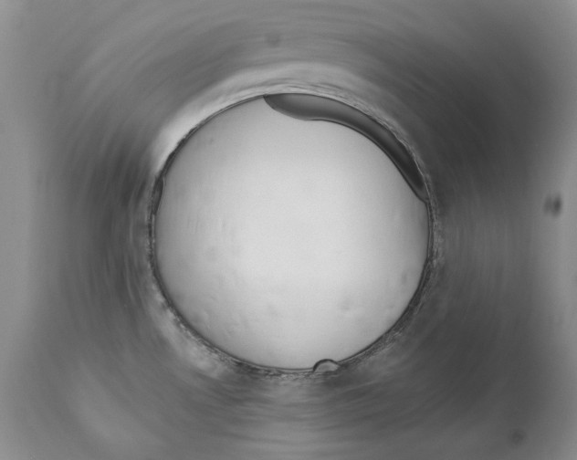 X0000110761530200907131157