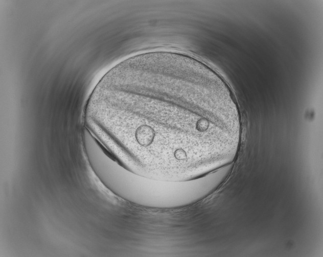 X0000110761532200907131157