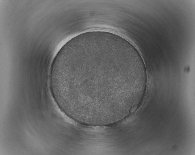 X0000110761533200907131157