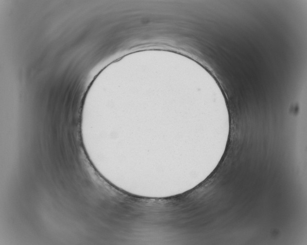 X0000110761534200907131157