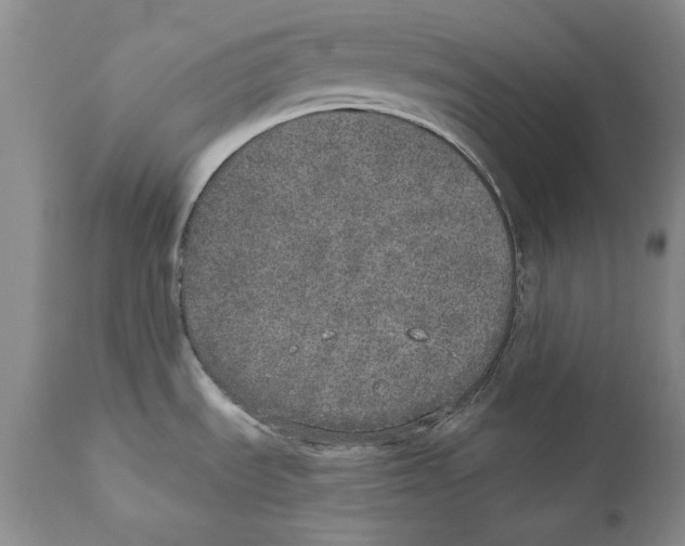 X0000110761535200907131157