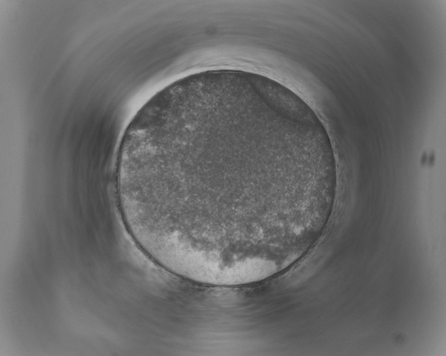 X0000110761536200907131157